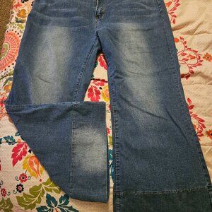 4x jeans flare